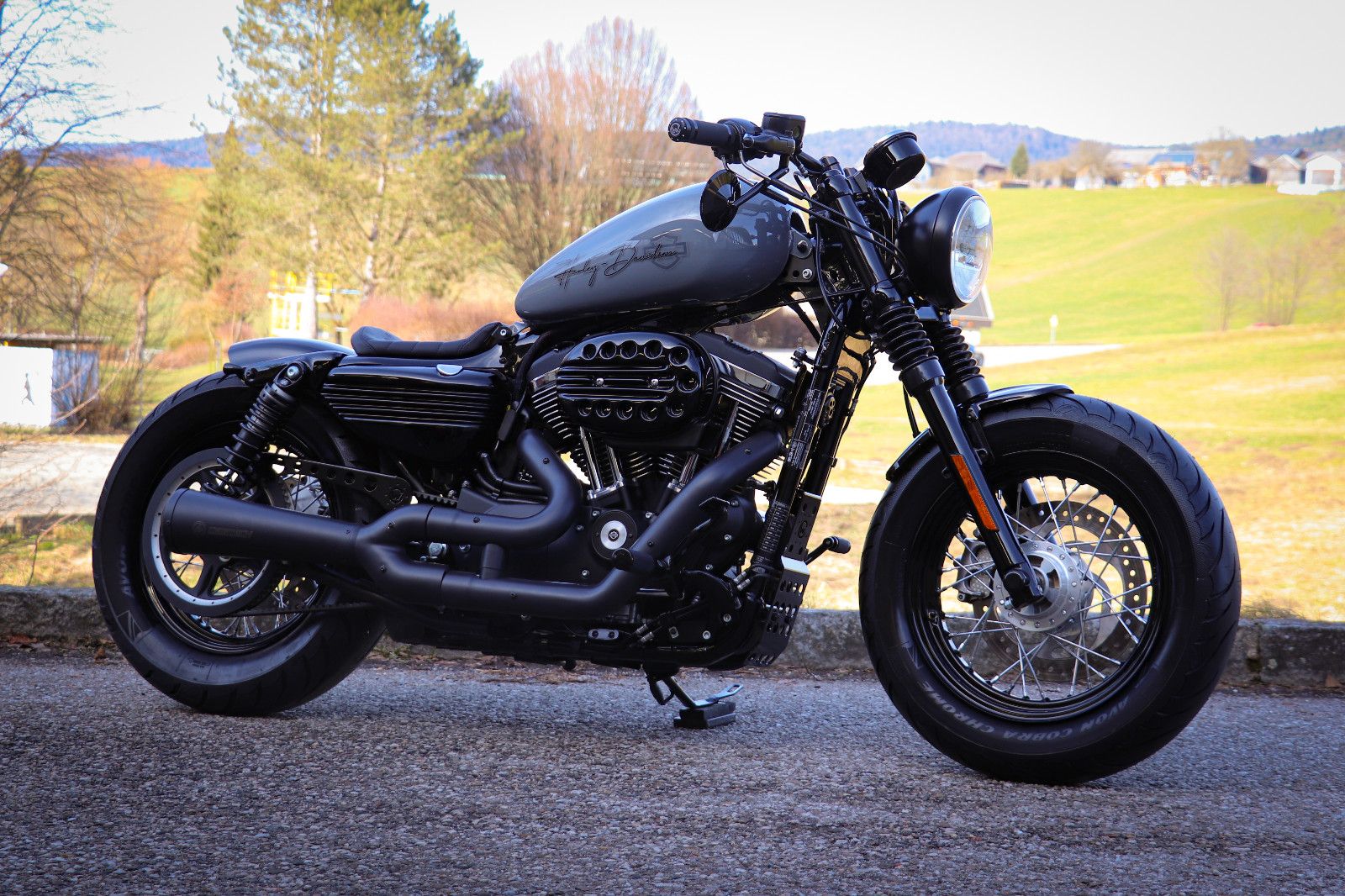 Harley-Davidson SPORTSTER 1200 CUSTOM "NARDO GREY" 48