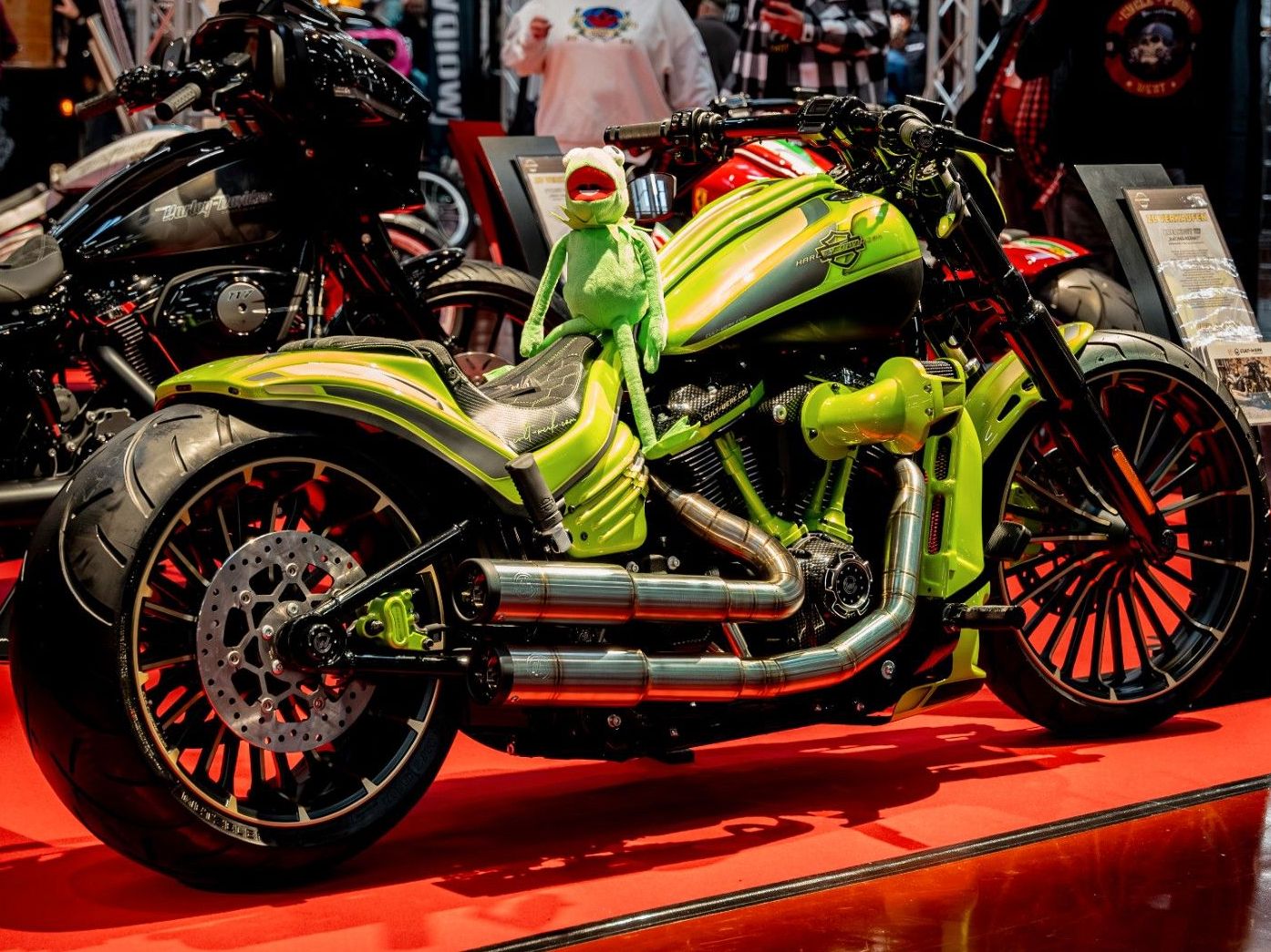 Harley-Davidson Breakout 117 "RACING KERMIT" by CULT-WERK UNIKAT