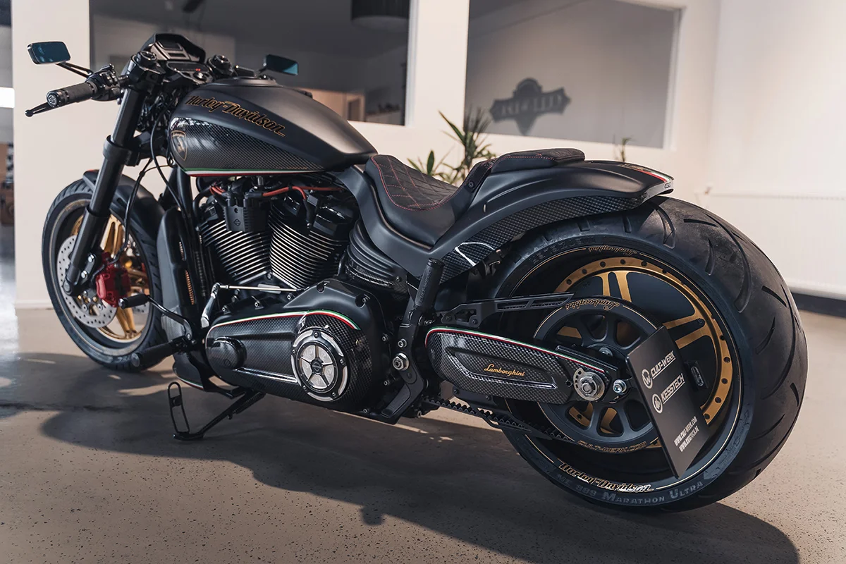 Rear conversion RACING (suitable for Harley-Davidson models: FXDR from 2019)