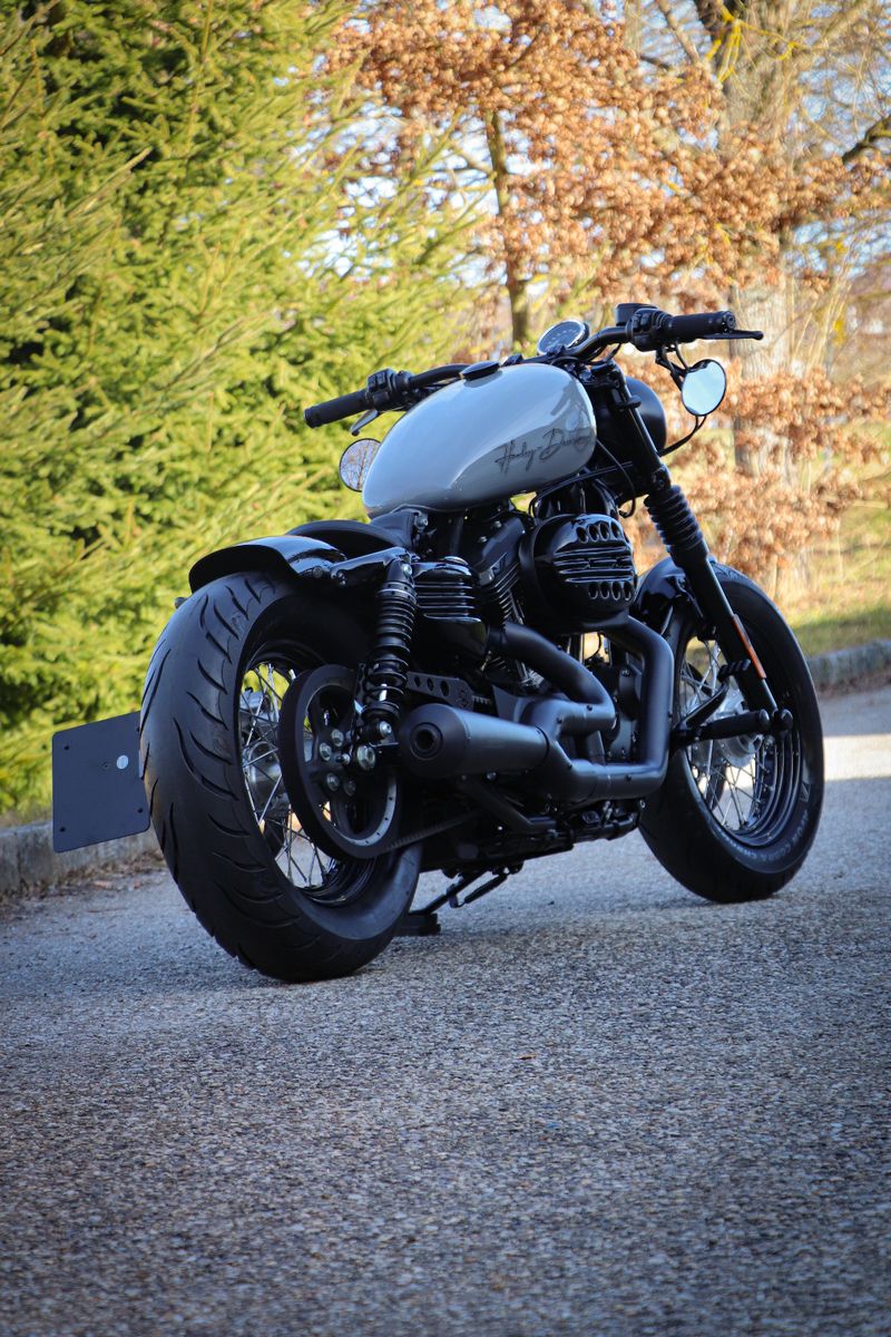 Harley-Davidson SPORTSTER 1200 CUSTOM "NARDO GREY" 48