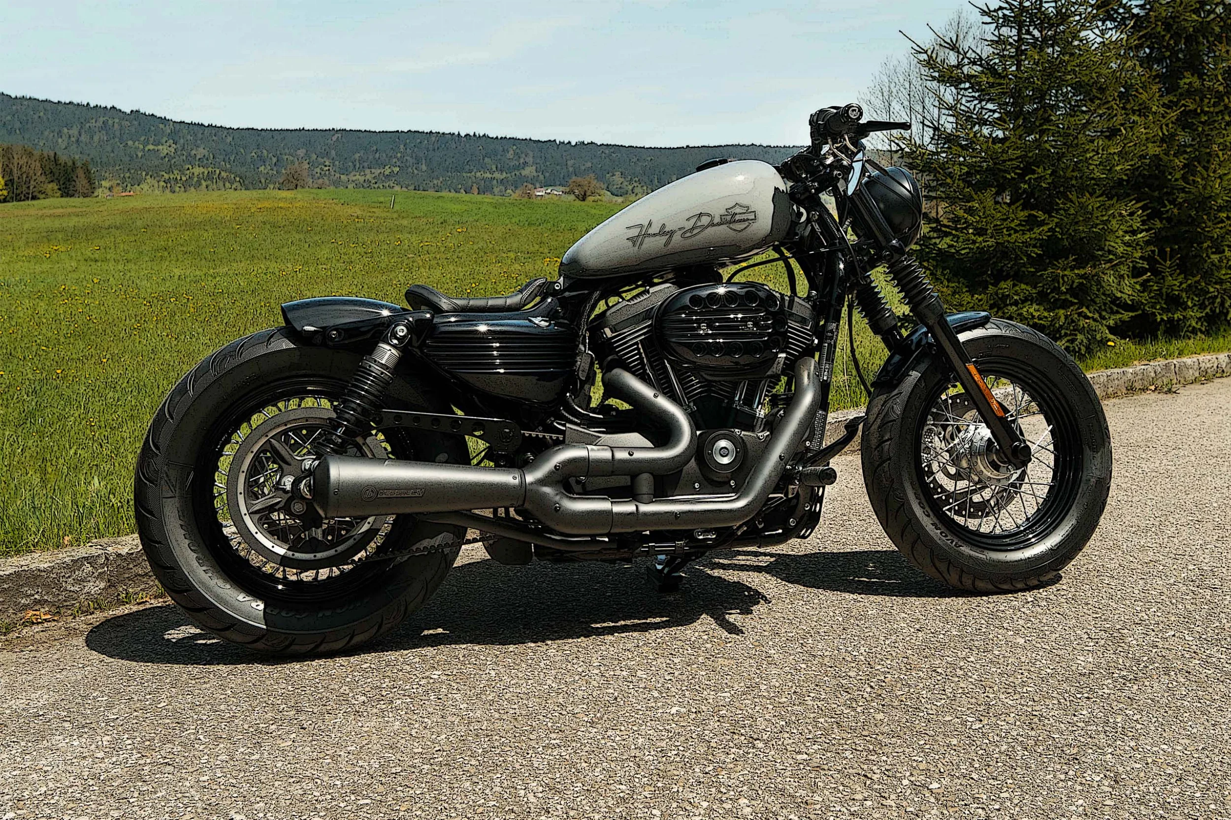 Sportster1200Custom-GZ