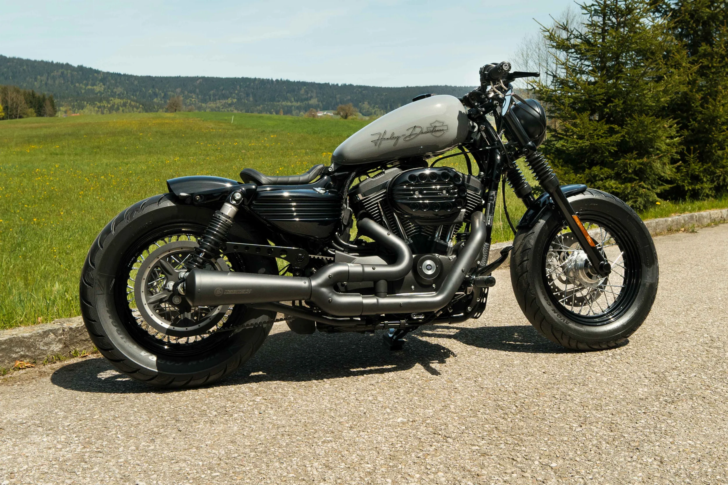 Sportster1200Custom-2