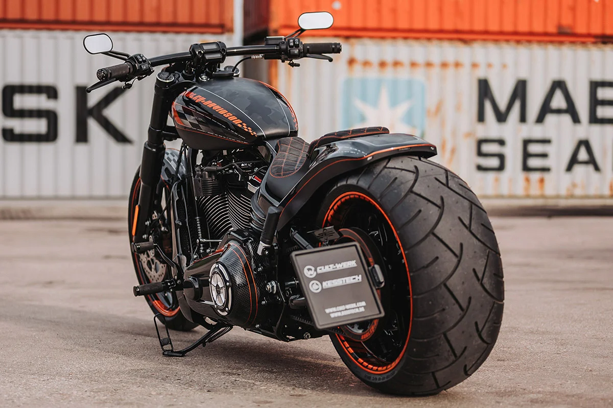 Kennzeichenhalter inkl. Einschubrahmen mit TÜV (passend für Harley-Davidson Modelle: Softail ab 2018)