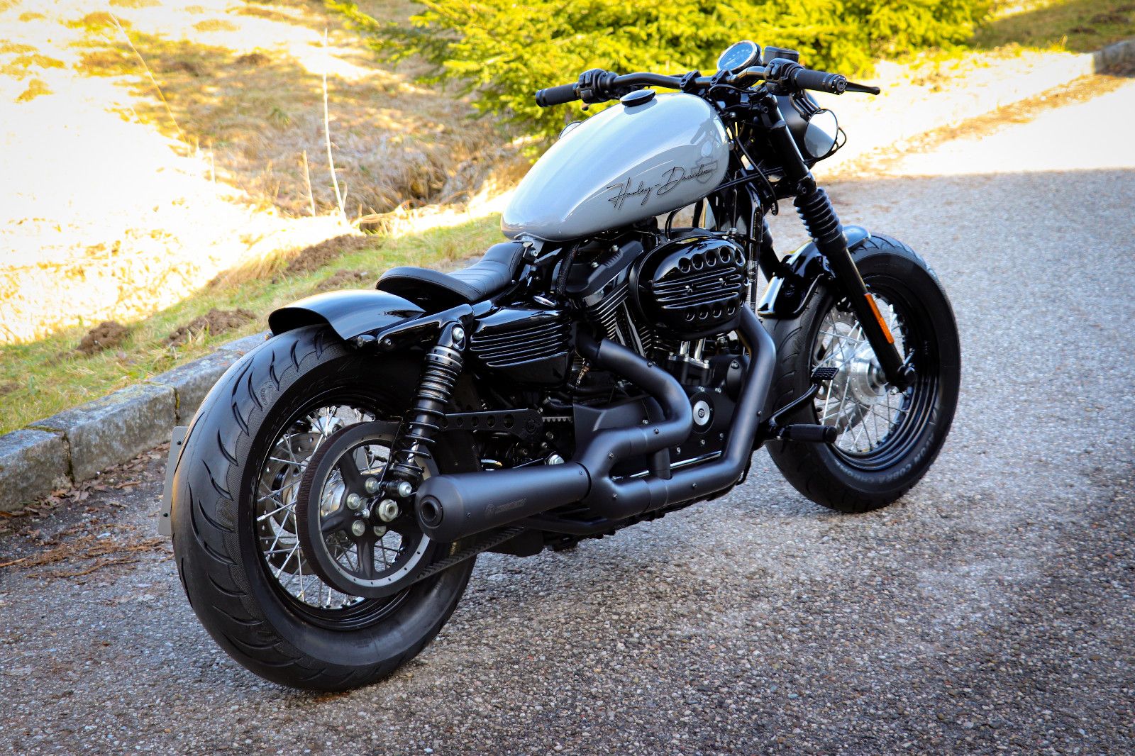 Harley-Davidson SPORTSTER 1200 CUSTOM "NARDO GREY" 48